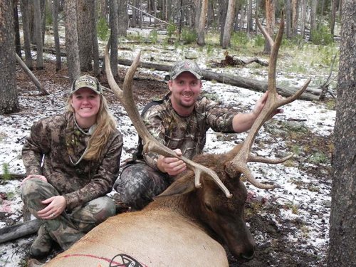 archery-elk-sep-jpeg.jpg