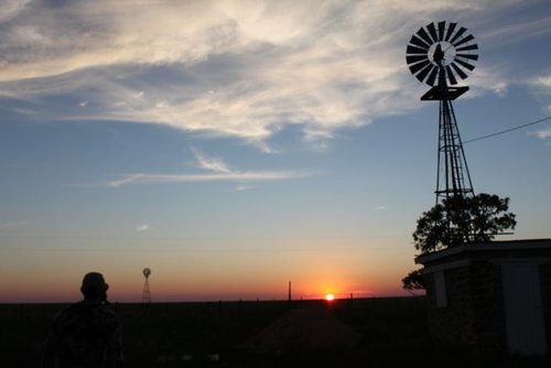 NM - landscape.jpg NM - landscape.jpg