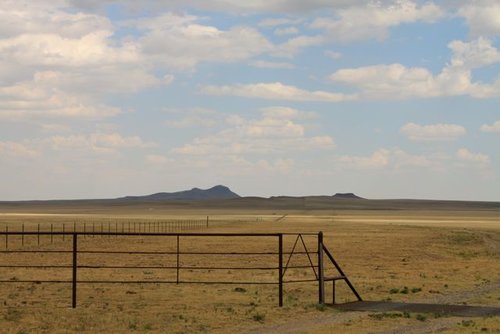 NM - landscape IV.jpg