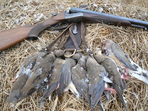 Double-Doves.jpg