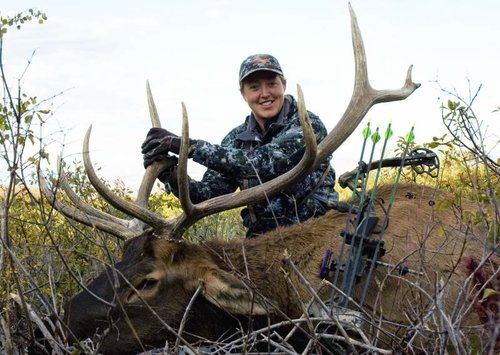 2012 elk 1.jpg