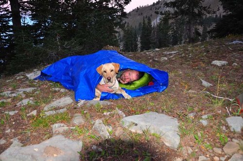 dogandmesized.jpg dogandmesized.jpg