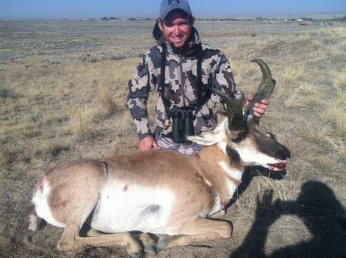 Antelope 2.jpg
