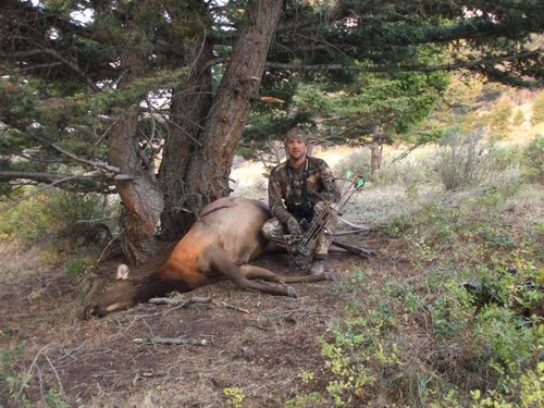 elk 2012 014.jpg