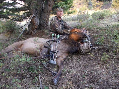 elk 2012 023.jpg