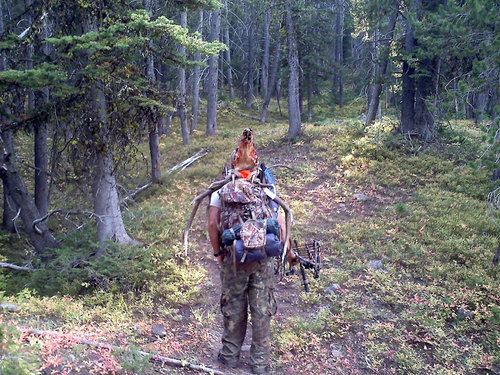 elk9.jpg elk9.jpg