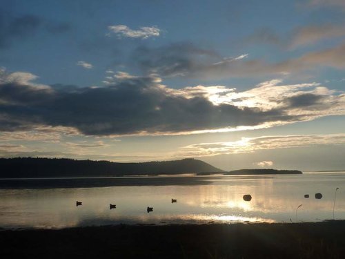 P1030413.jpg P1030413.jpg