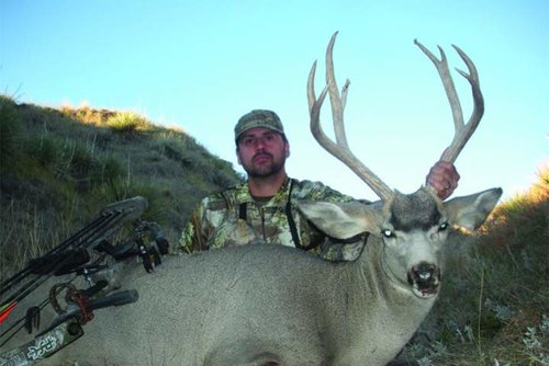 2012Deer.jpg