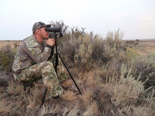 glassing.jpg glassing.jpg