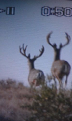 idaho2012.jpg idaho2012.jpg