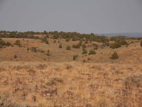 country.jpg country.jpg