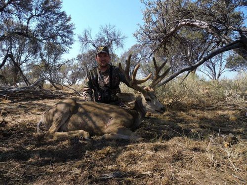 Jake2012.jpg Jake2012.jpg