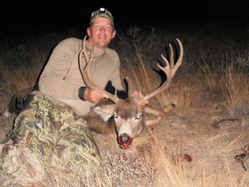 cadedeer3.jpg cadedeer3.jpg