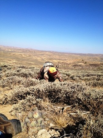 2012 Gerdes Sneak.jpg