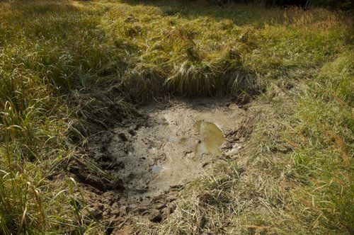 wallow.jpg wallow.jpg