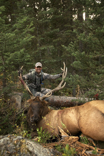 2012bull_edited_small.jpg 2012bull_edited_small.jpg