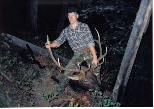 1st archery bull.jpg