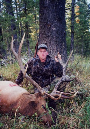 elk1.jpg