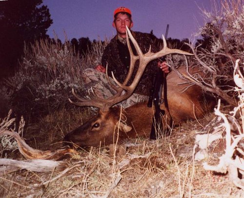 elk3.jpg