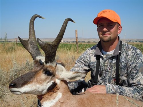 Worland pronghorn 003.jpg