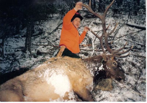 Last big bull the old man killed.jpg