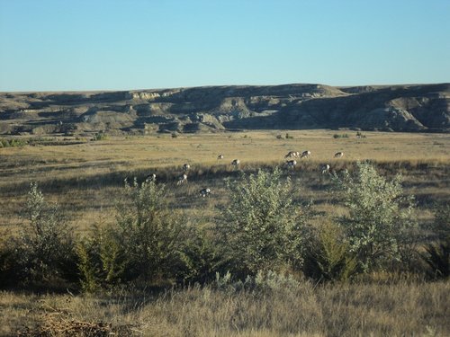 lauries 091.JPG