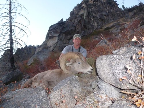 Sheep hunt 2012 103.JPG