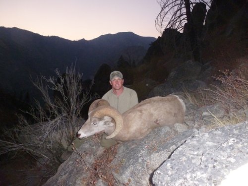 Sheep hunt 2012 113.JPG