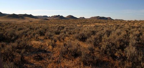 IMG_2227.jpg IMG_2227.jpg