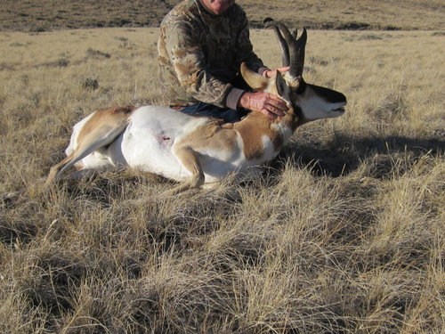 IMG_0462.JPG