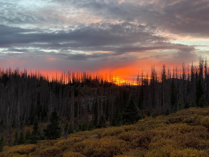 TLandscape_SunsetIMG_8630.jpg TLandscape_SunsetIMG_8630.jpg