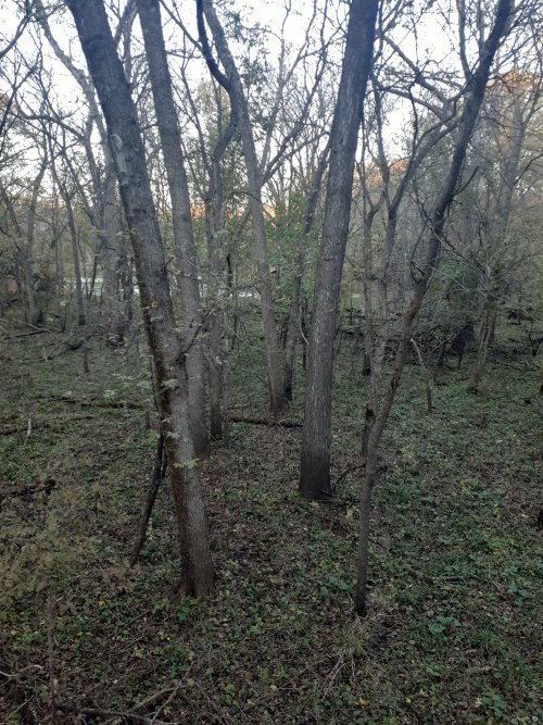 20211030_174845.jpg 20211030_174845.jpg