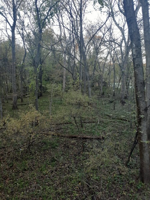 20211030_174854.jpg 20211030_174854.jpg