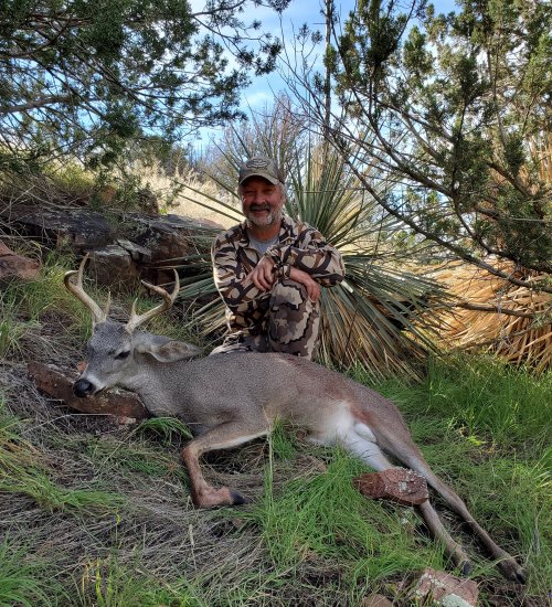 2021 AZ Coues #1 (cropped).jpg 2021 AZ Coues #1 (cropped).jpg