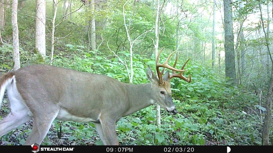 8.5pt.jpg