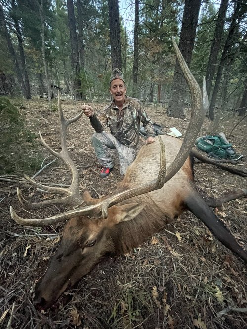 elk 1.jpg elk 1.jpg