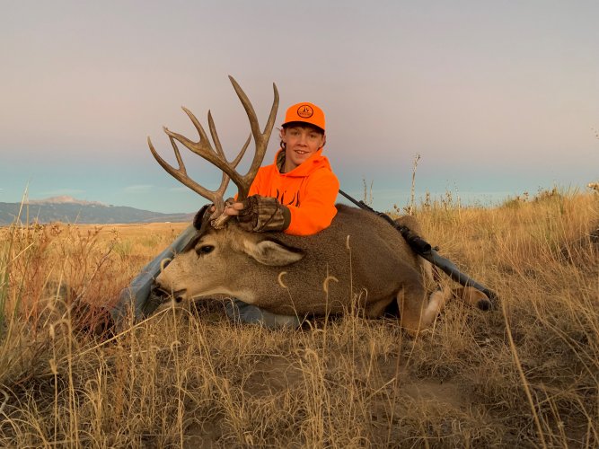 deer 2.jpg deer 2.jpg