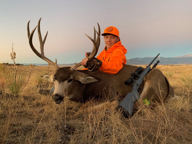 deer 3.jpg deer 3.jpg
