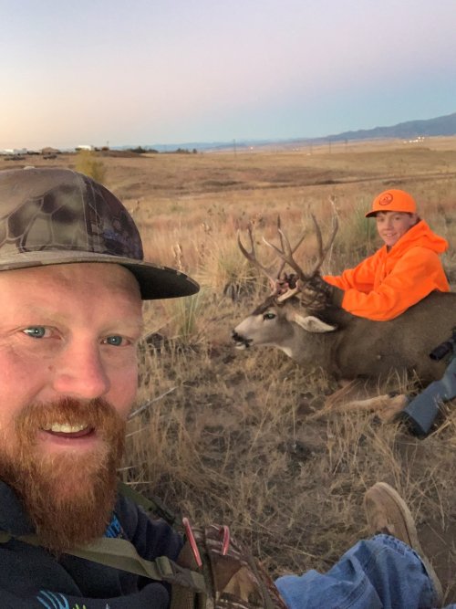 deer 4.jpg deer 4.jpg