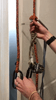 1636064546466.gif 1636064546466.gif