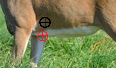 1636424388091.png