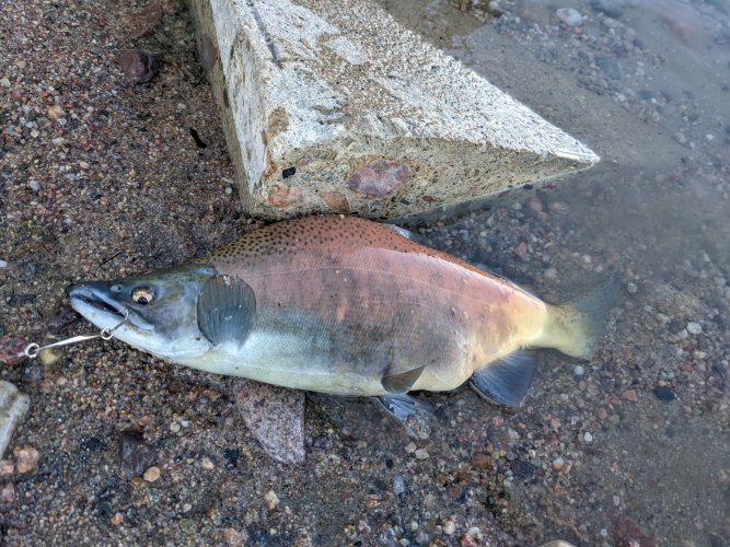 PXL_20211109_143757841.jpg PXL_20211109_143757841.jpg