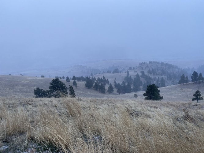 7468B125-A8AC-4AB9-9BDE-7735AA0ABA9F.jpeg 7468B125-A8AC-4AB9-9BDE-7735AA0ABA9F.jpeg