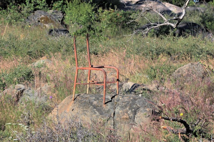 PG CHAIR.JPG PG CHAIR.JPG