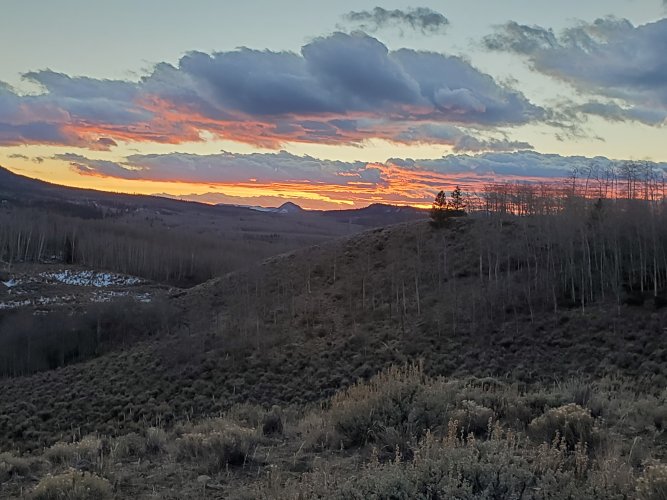 20211113_165309.jpg 20211113_165309.jpg