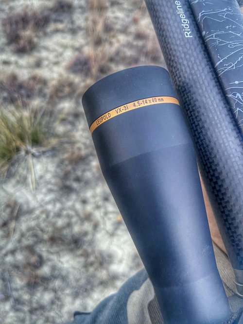 11A60792-8084-4A95-AEA4-E2129E11183A.jpeg 11A60792-8084-4A95-AEA4-E2129E11183A.jpeg