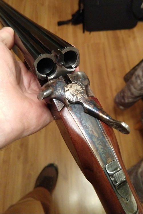 Found in Western Montana.jpg Found in Western Montana.jpg