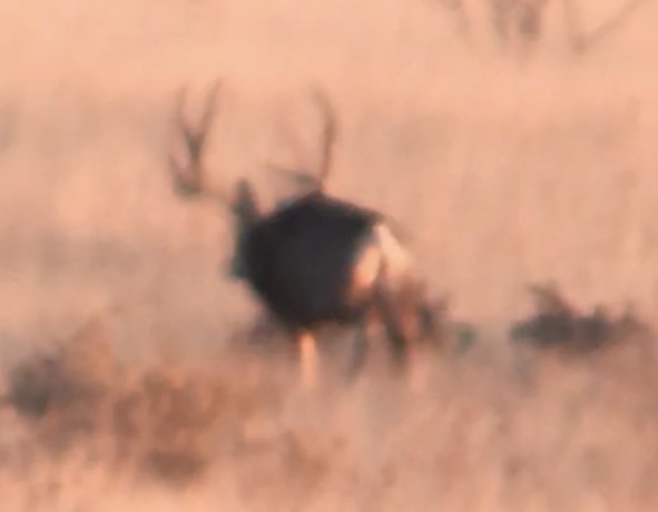 37949781-FF46-4331-B06A-154FC2D2D112.jpeg 37949781-FF46-4331-B06A-154FC2D2D112.jpeg