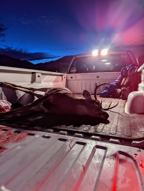 truckbed.jpg truckbed.jpg