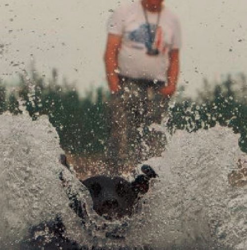 SPLASH.JPG SPLASH.JPG